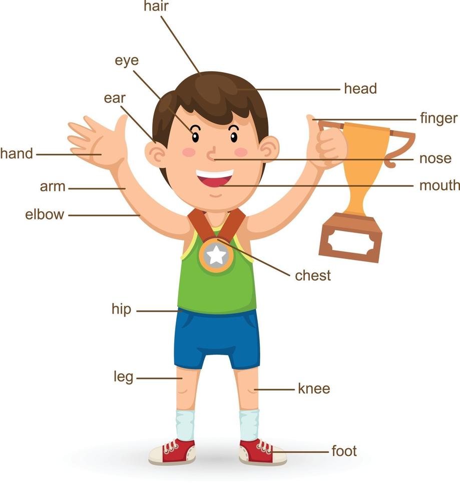 vocabulary part of body vector