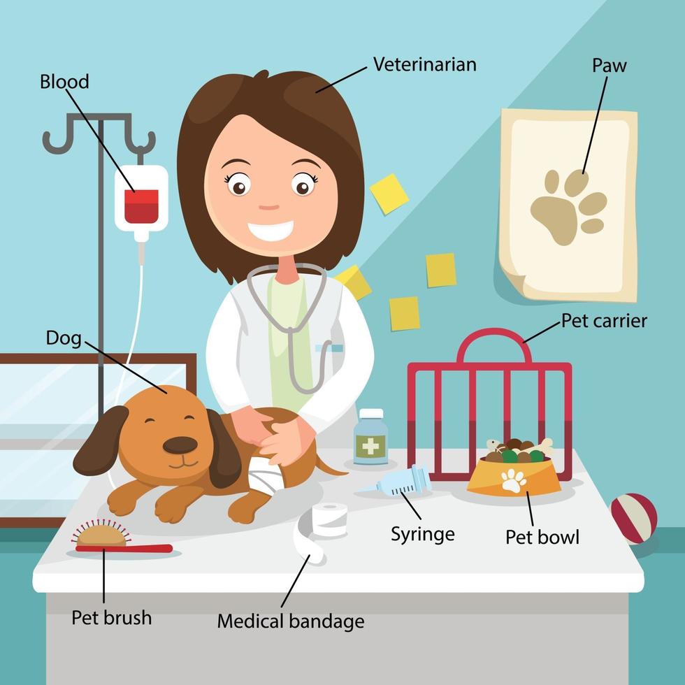 la idea de una veterinaria curando al perro vector