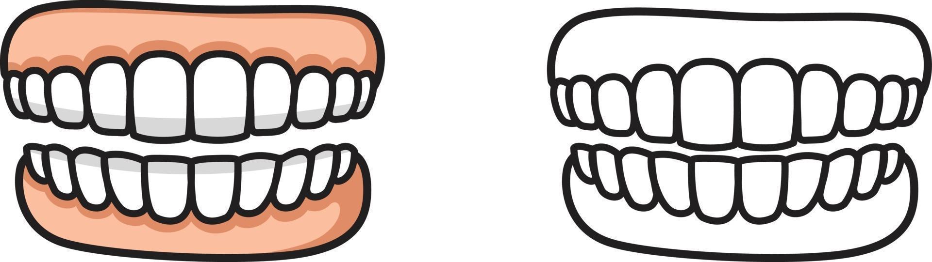 colorful and black and white tooth for coloring book vector