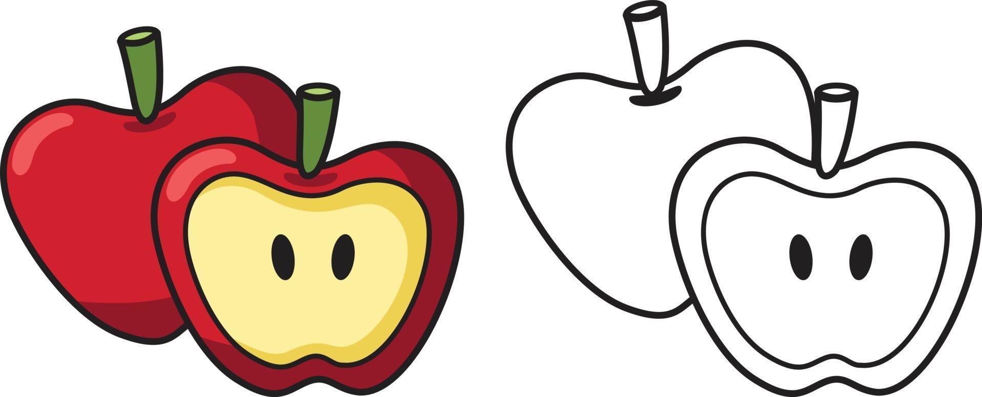 colorful and black and white apple for coloring book vector