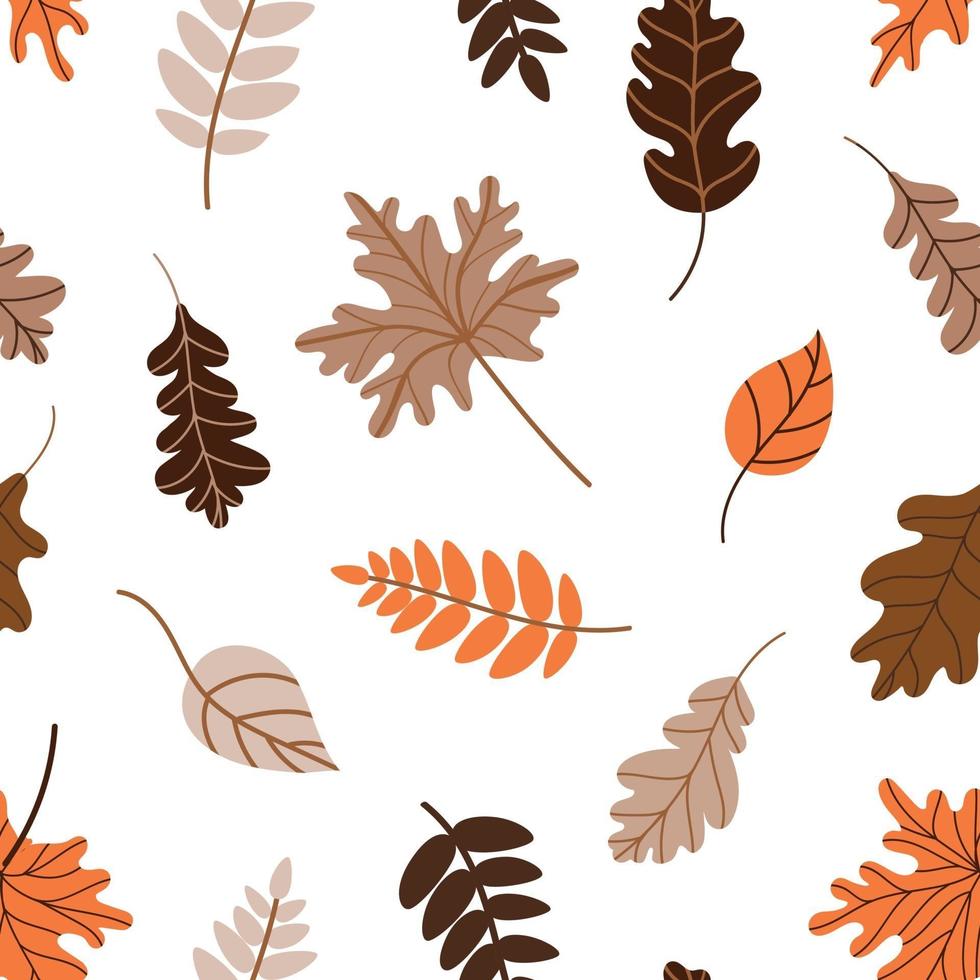 pattern with fallen leaves on a white background vector