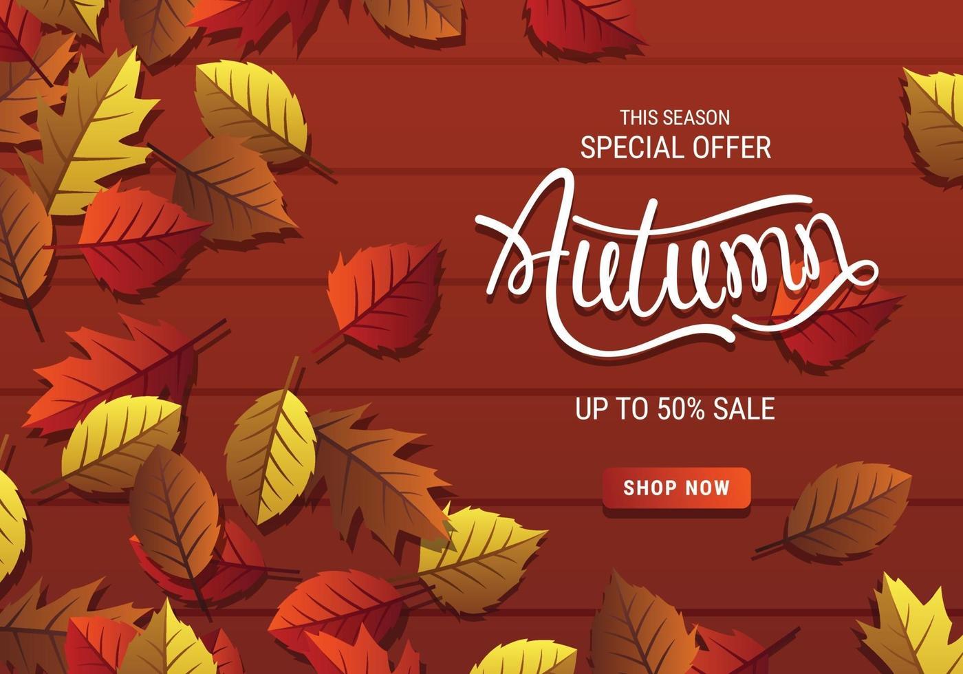 Special Offer Autumn Sale Banner With Leaves And Brown Background vector