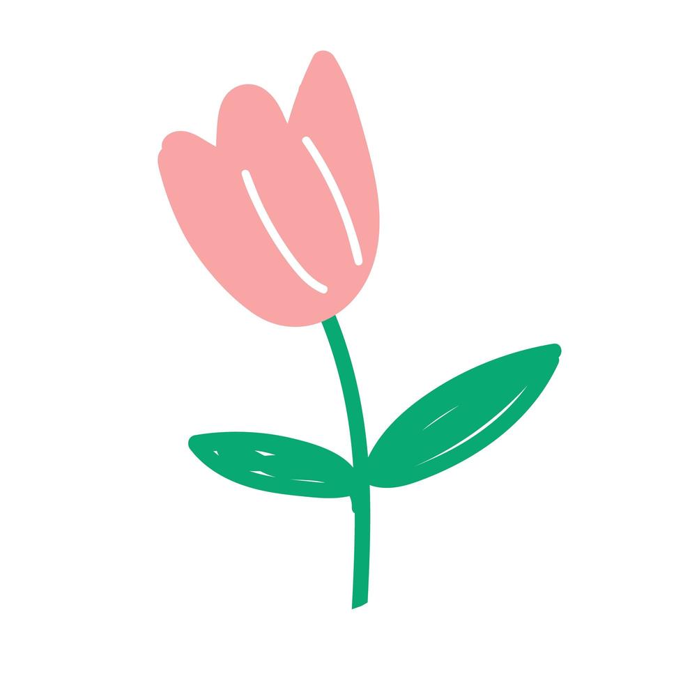 Pink tulip isolated on white background. vector