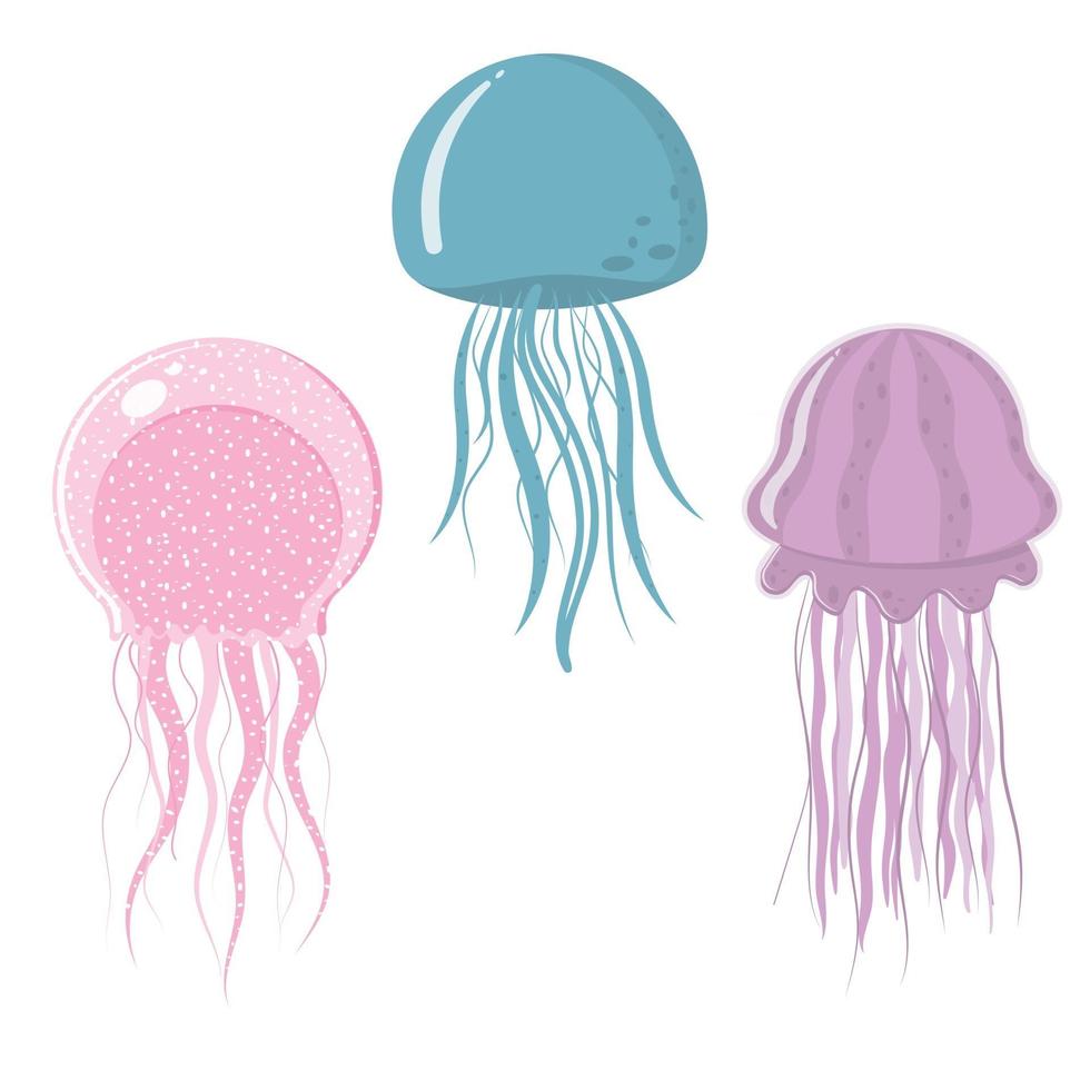 Conjunto de medusas multicolores aislado sobre un fondo blanco. vector