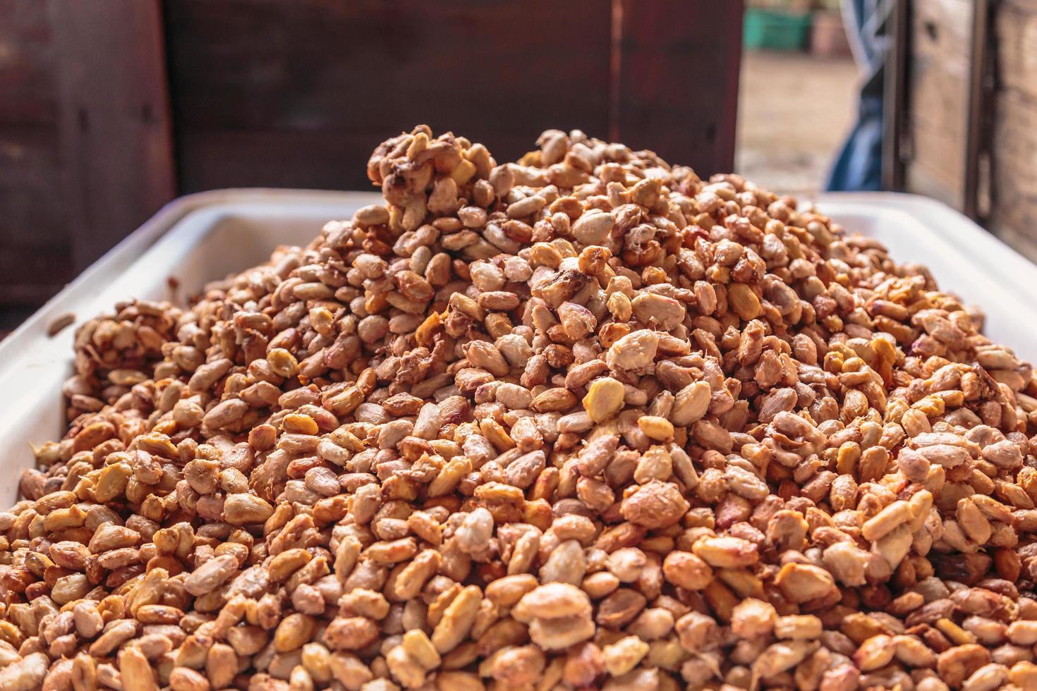 Fresh cocoa beans for fermentation photo