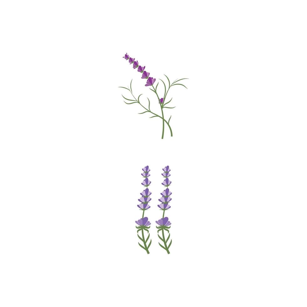 lavanda, logotipo, plantilla, vector, símbolo, naturaleza vector