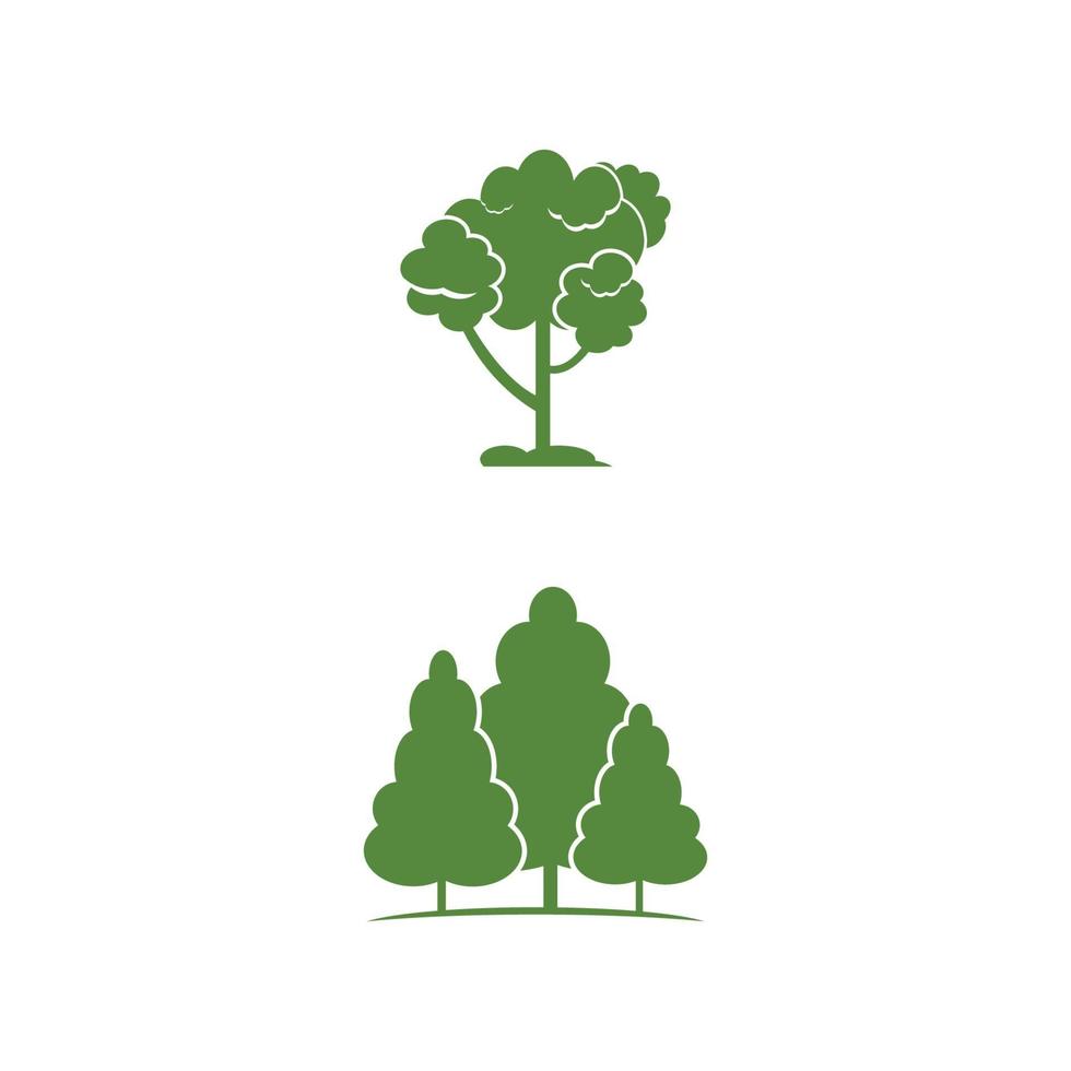 Cedar tree vector icon illustration design template