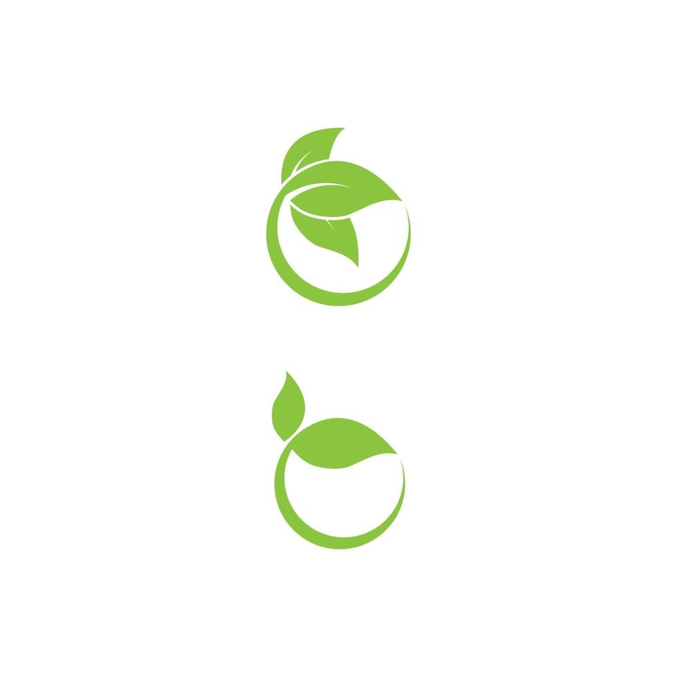 hoja logotipo plantilla vector símbolo naturaleza