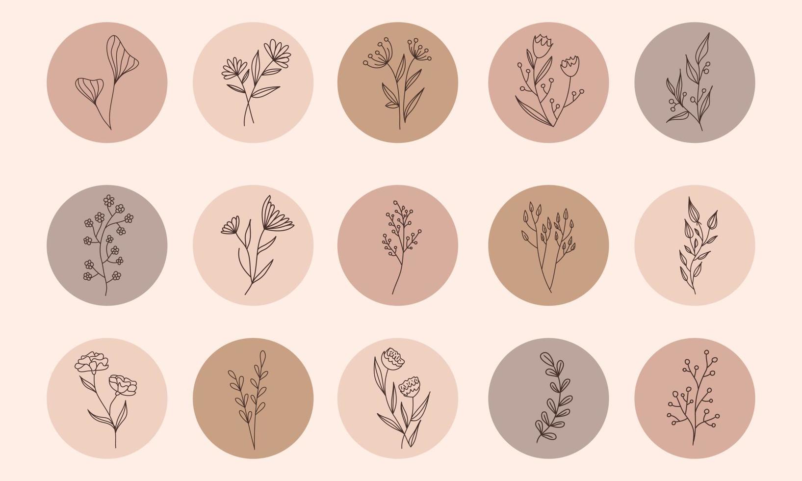 Vector abstract organic story set cover templates.