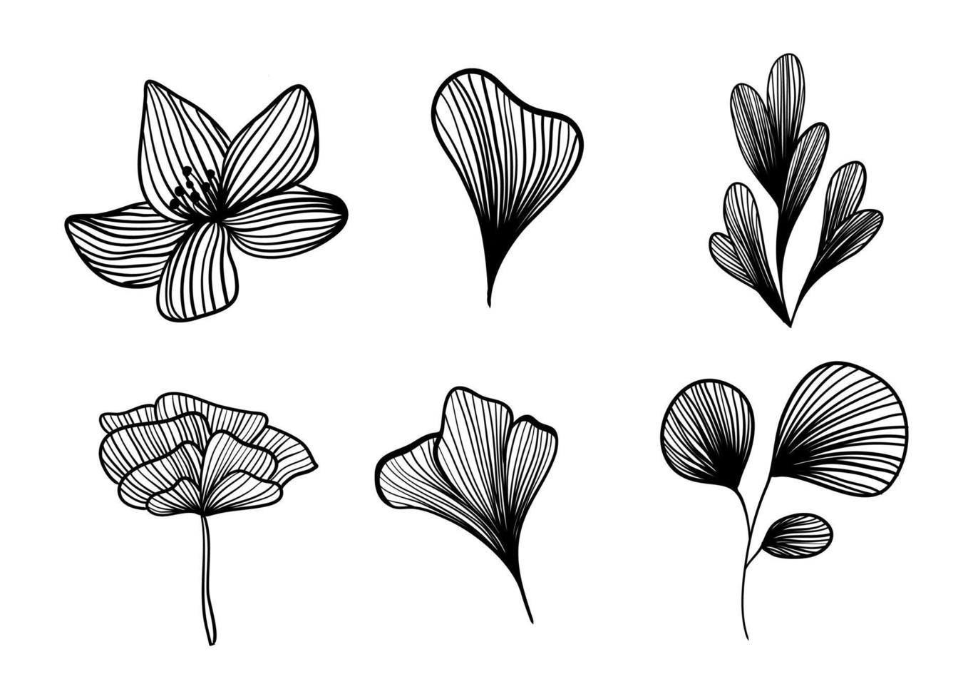 Flower petals and flowers in line. vector