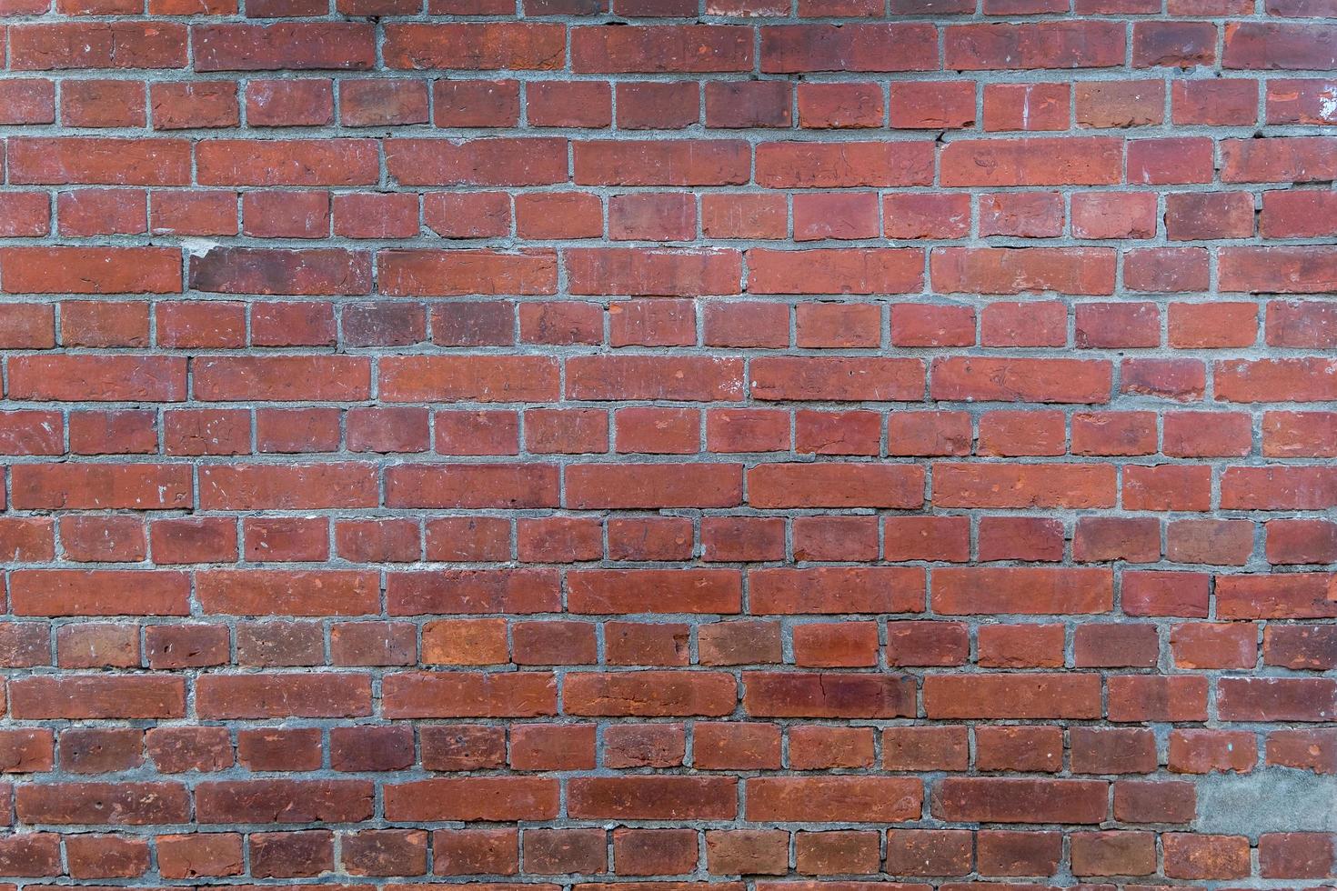 Grunge red brick wall texture. photo