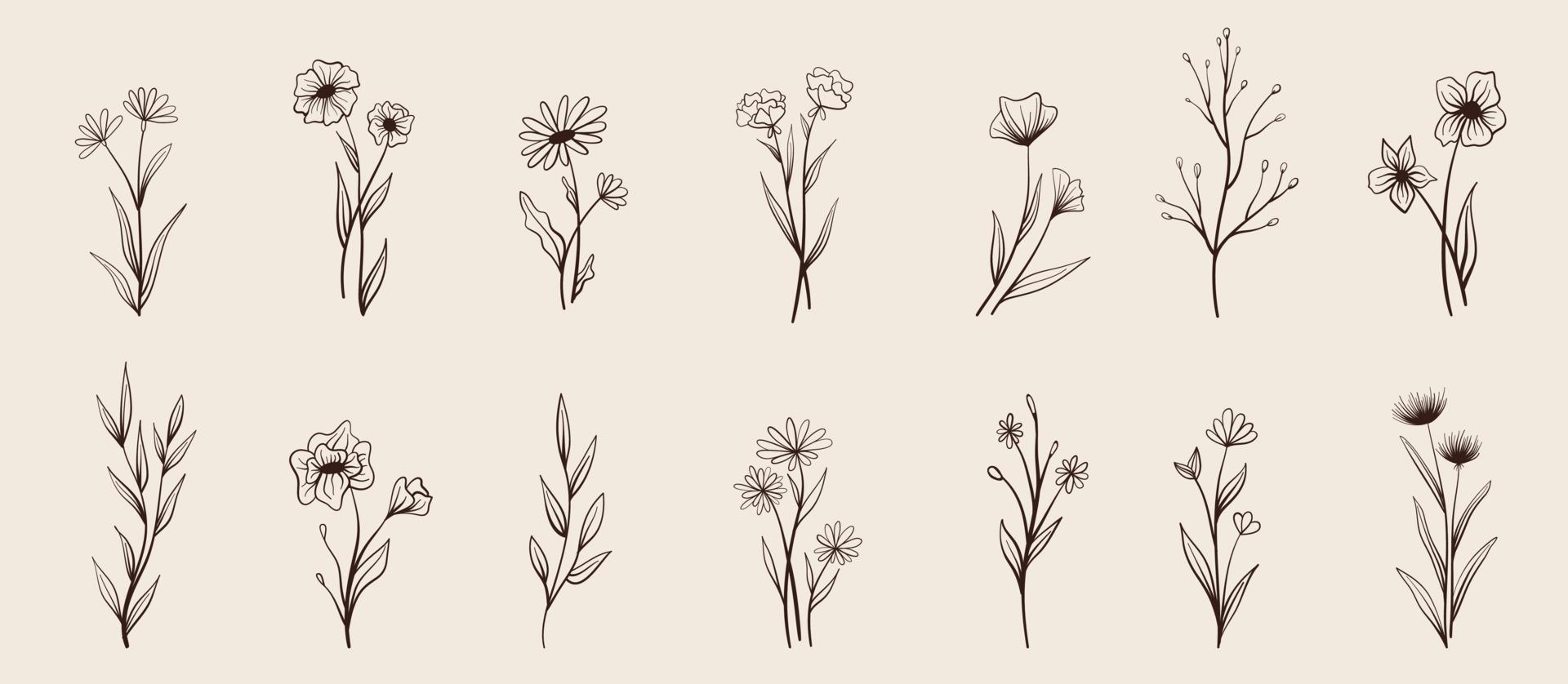 Set of vector vintage floral elements.