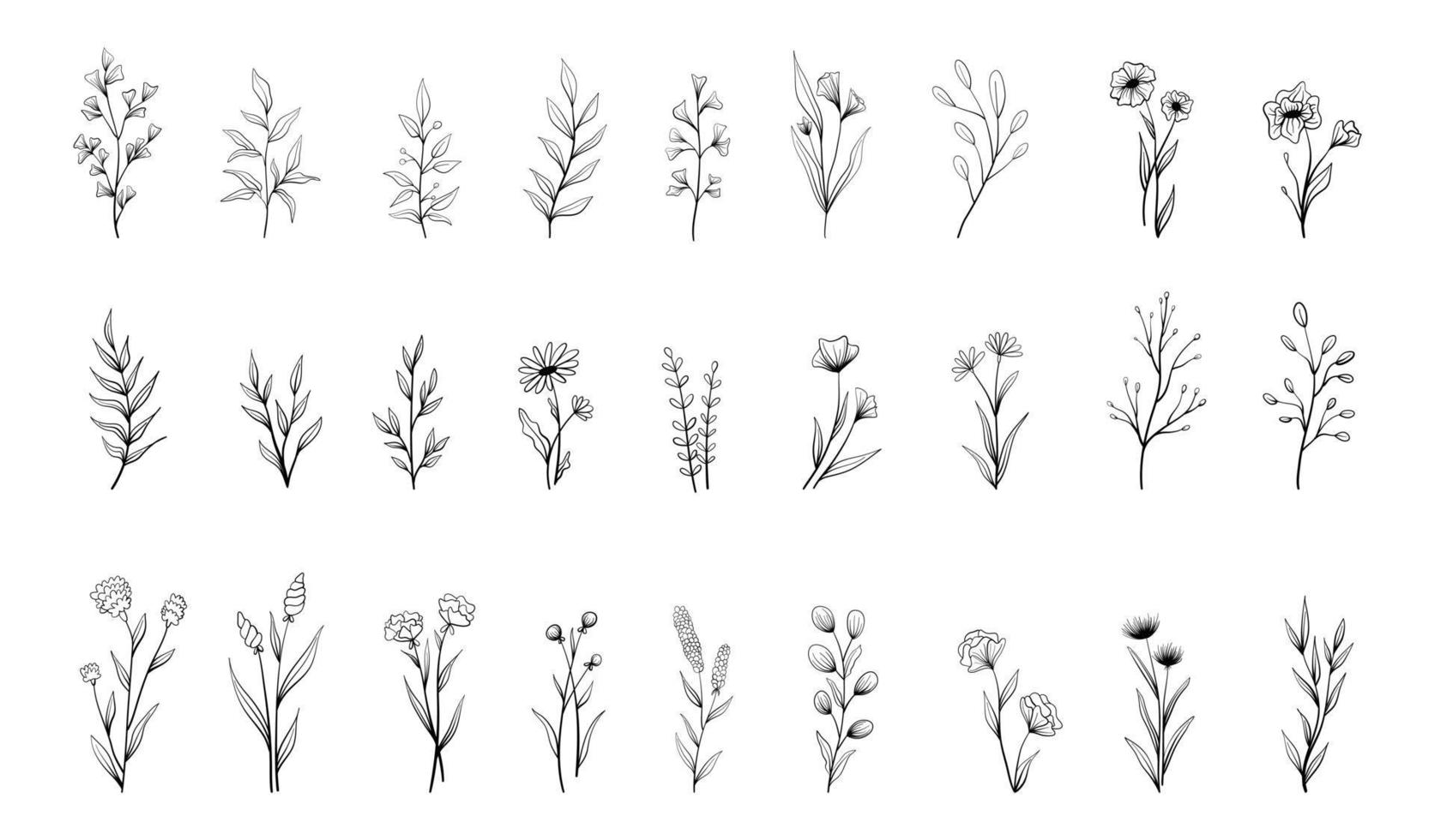 Set of vector vintage floral elements