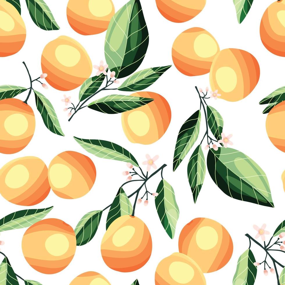 Peaches and apricots on tree branches, seamless pattern. vector