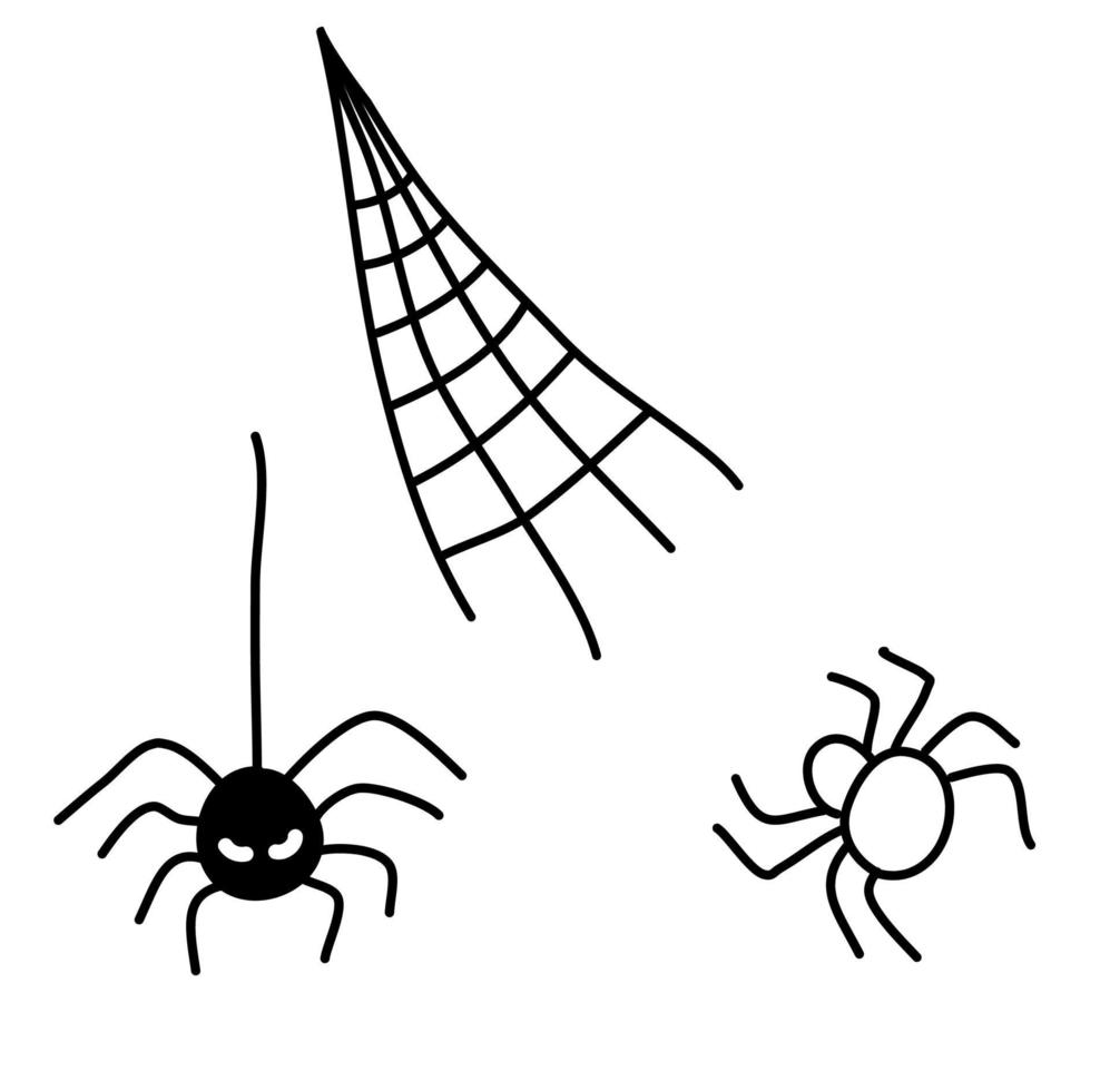 Spider, a doodle style spider web. vector