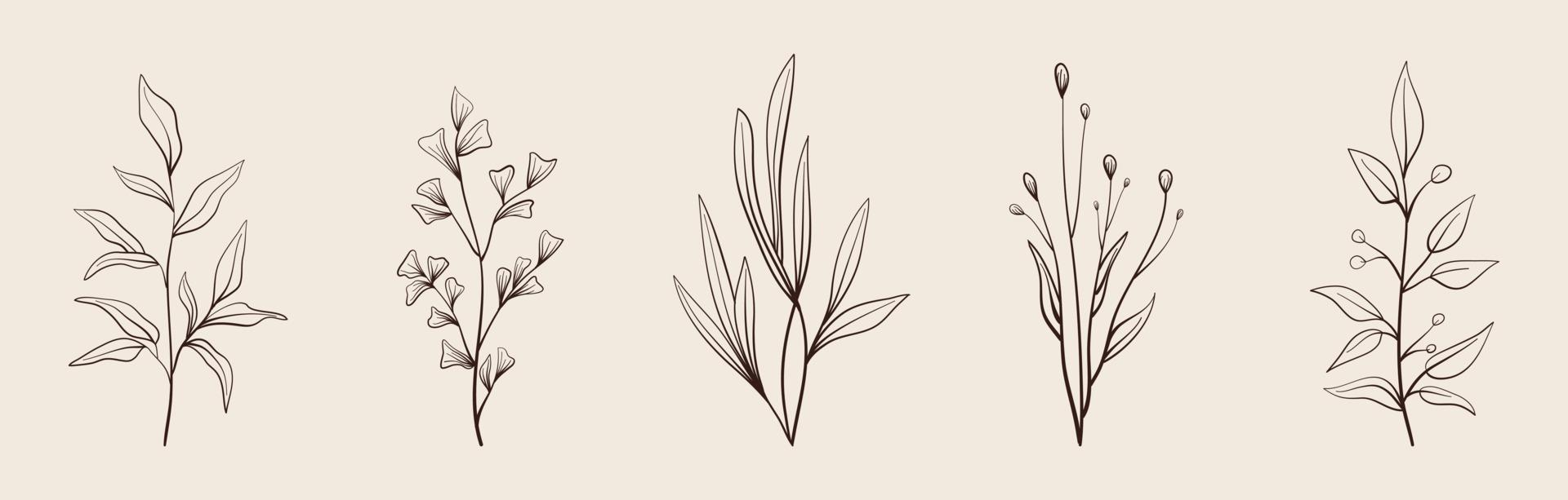 Set of vector vintage floral elements.