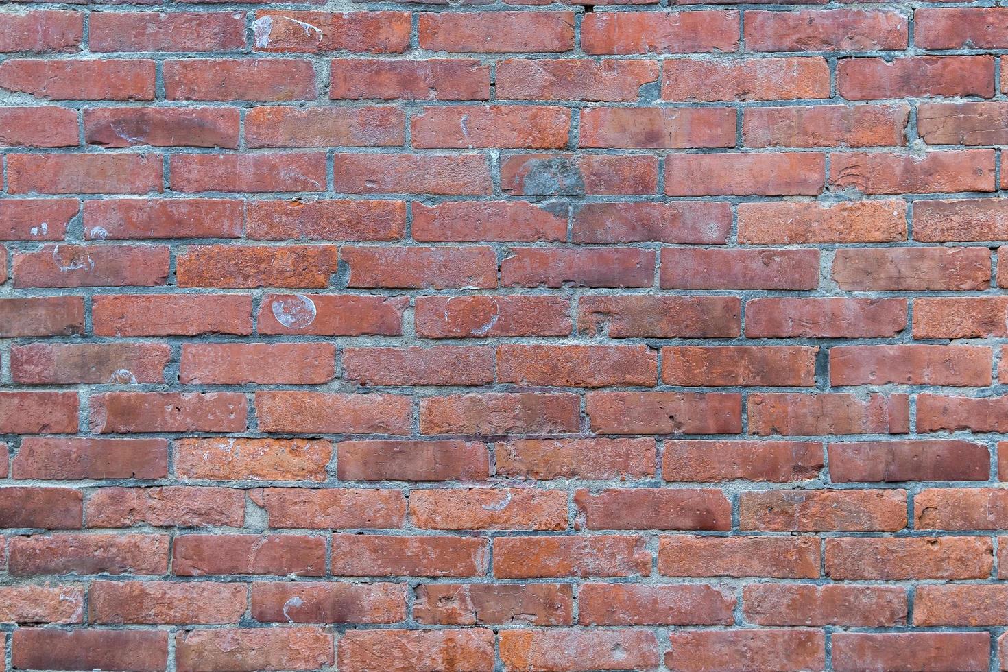 Grunge red brick wall texture. photo