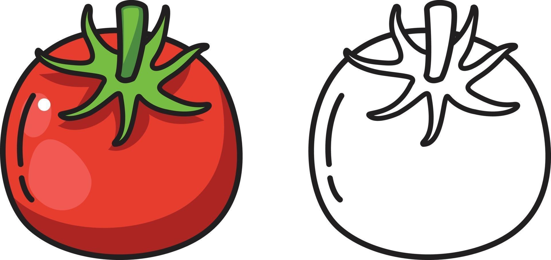 tomate colorido y blanco y negro para colorear libro vector