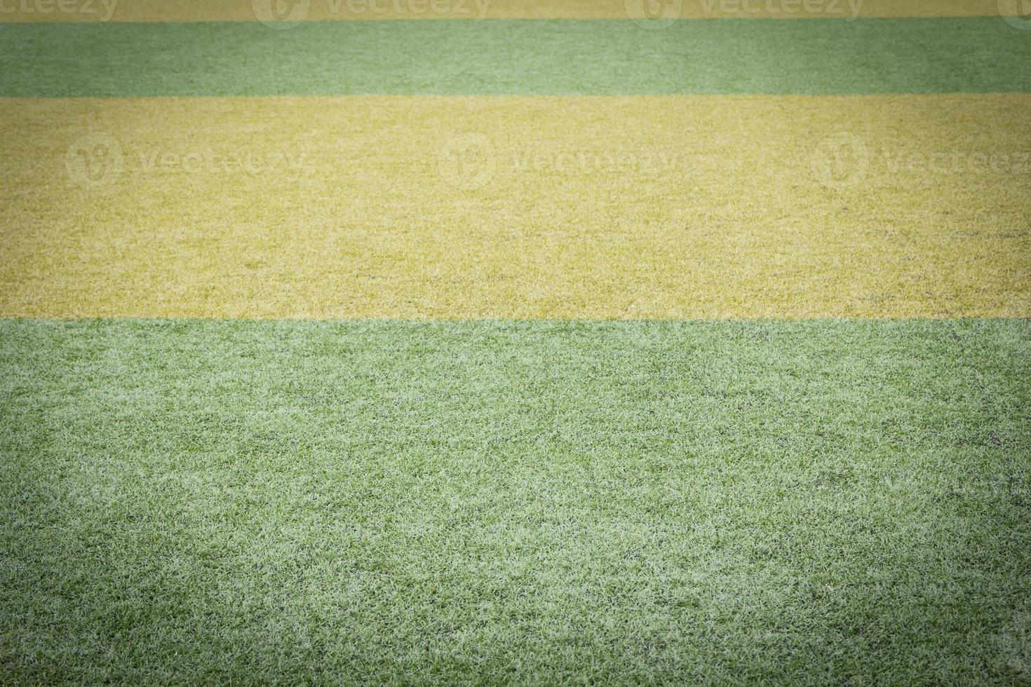 Green grass field background photo