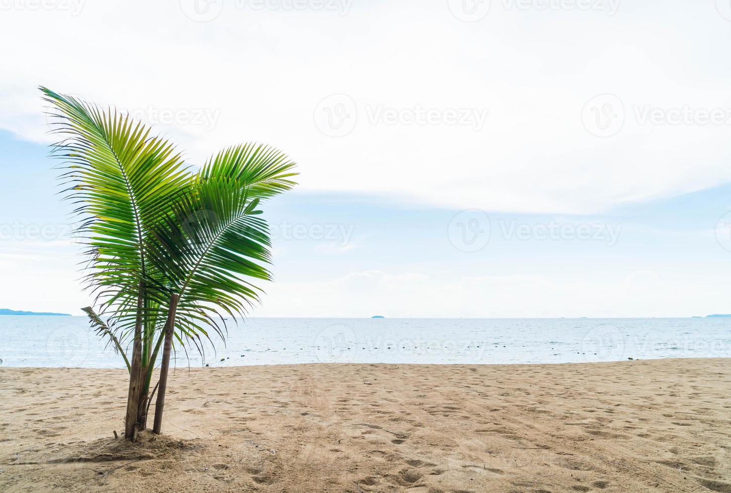 Palm y playa tropical en Pattaya en Tailandia foto