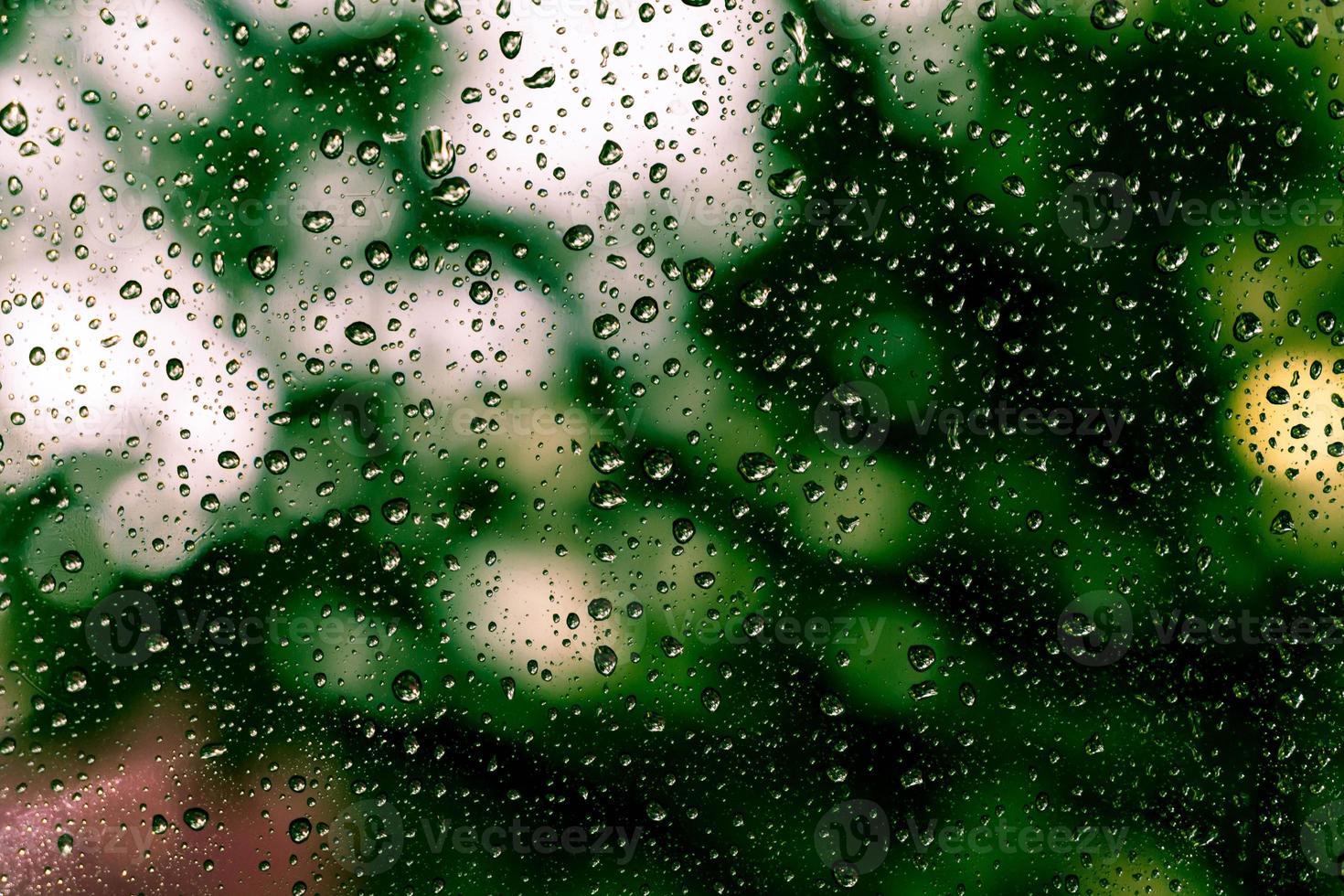 Rain drops on the window photo