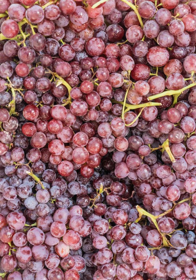 uvas rojas frescas en el mercado foto