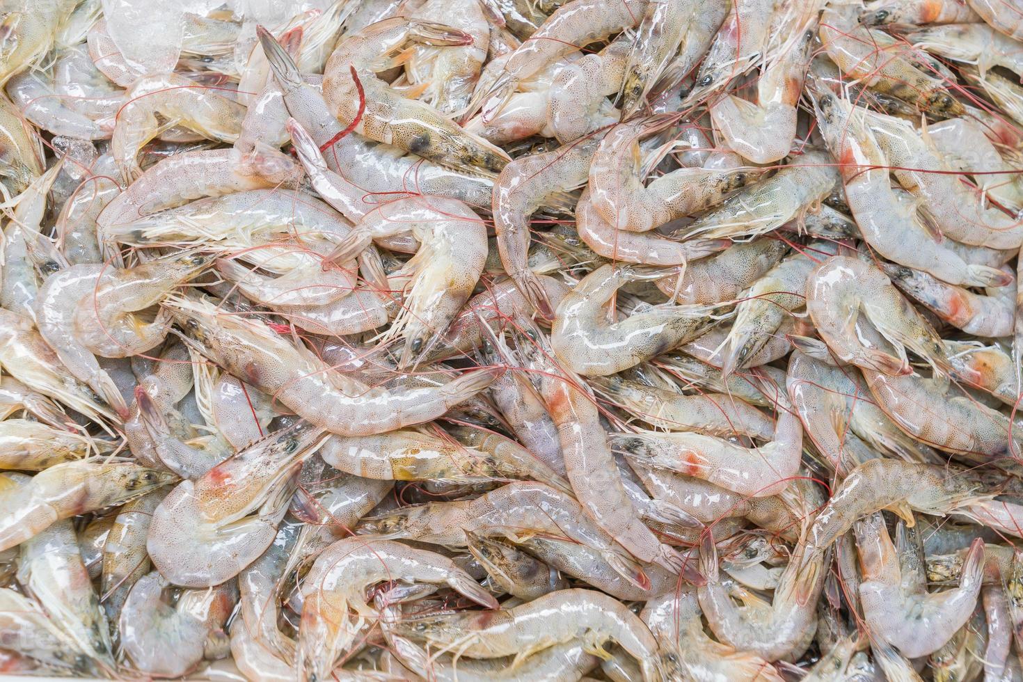 Fresh prawns at the market photo