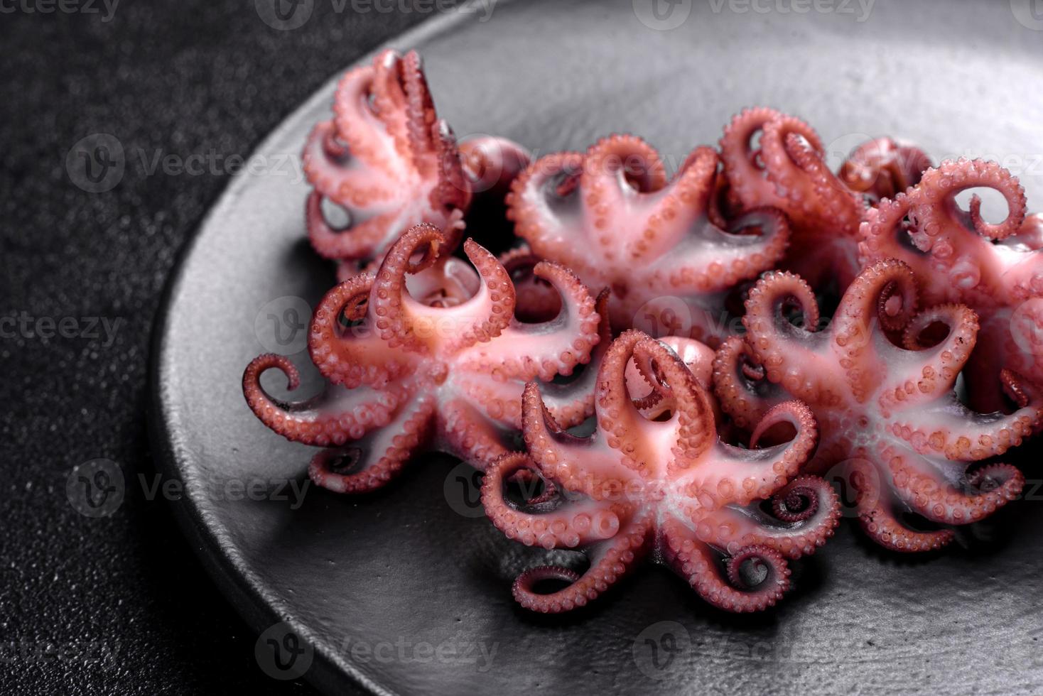 Seafood Baby octopus salad in a black plate photo