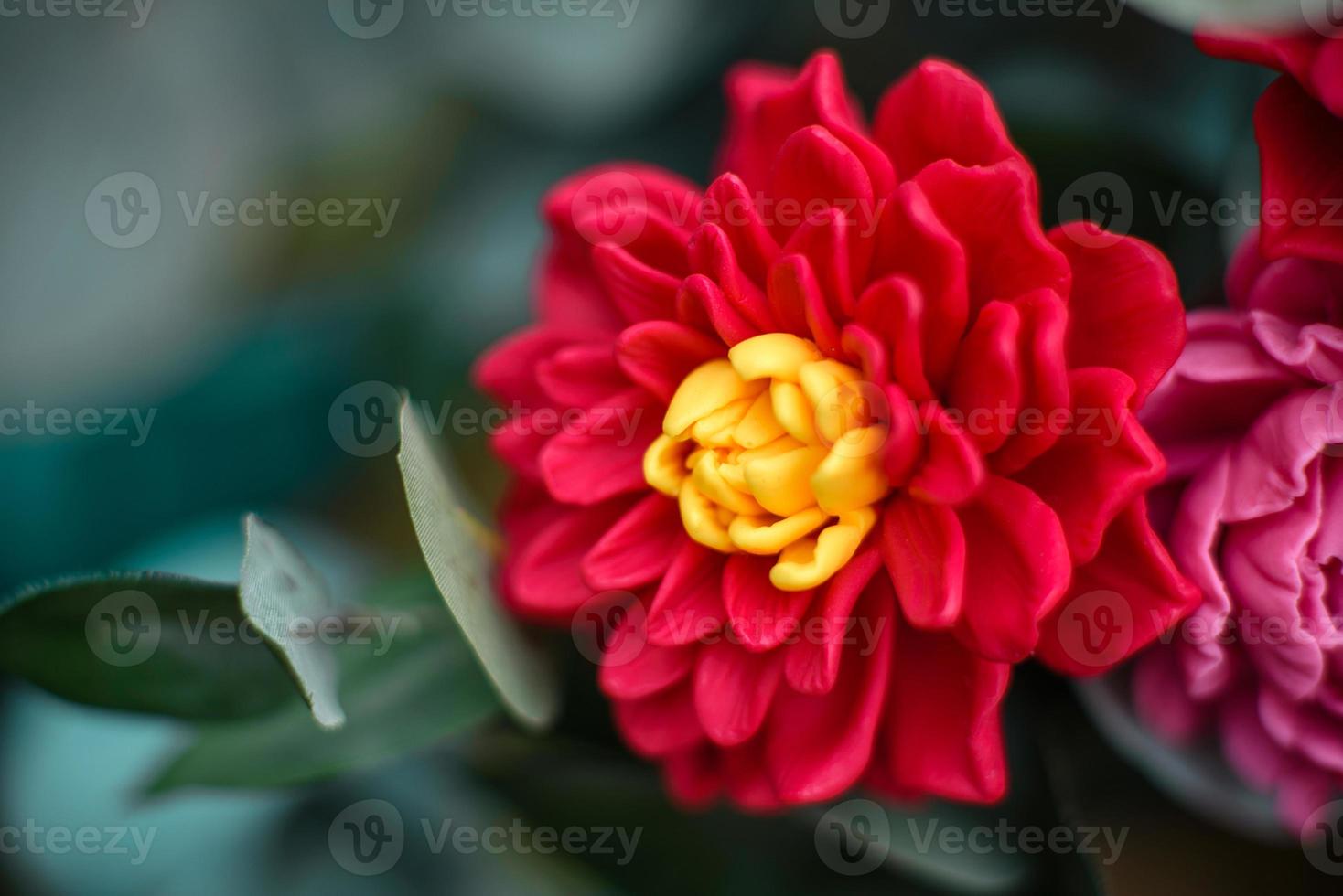 Bouquet of bright colorful made from soap photo