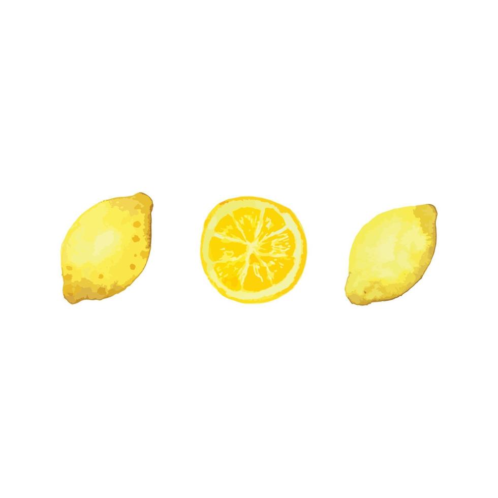 Watercolor Three shape of Lemons vector