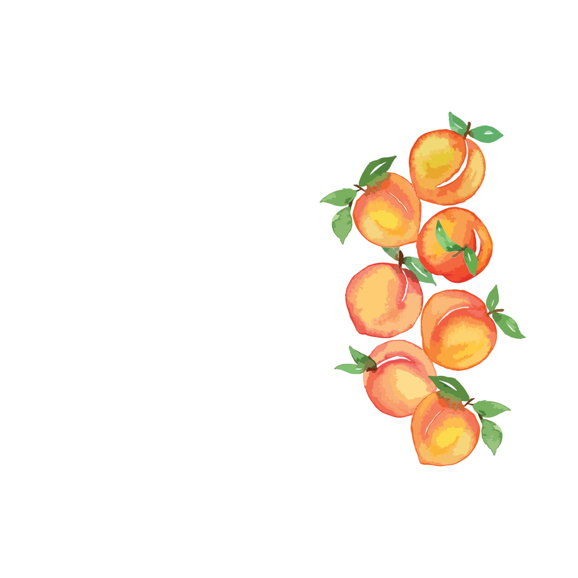 Watercolor fruit peach Side border 3142739 Vector Art at Vecteezy