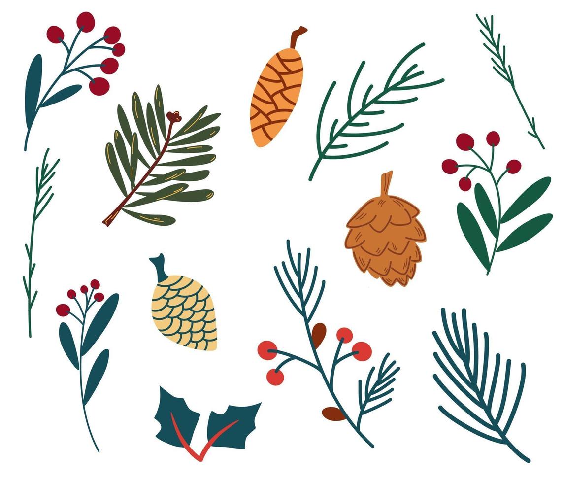 Set of spruce twigs berries and cones. Winter plants. vector