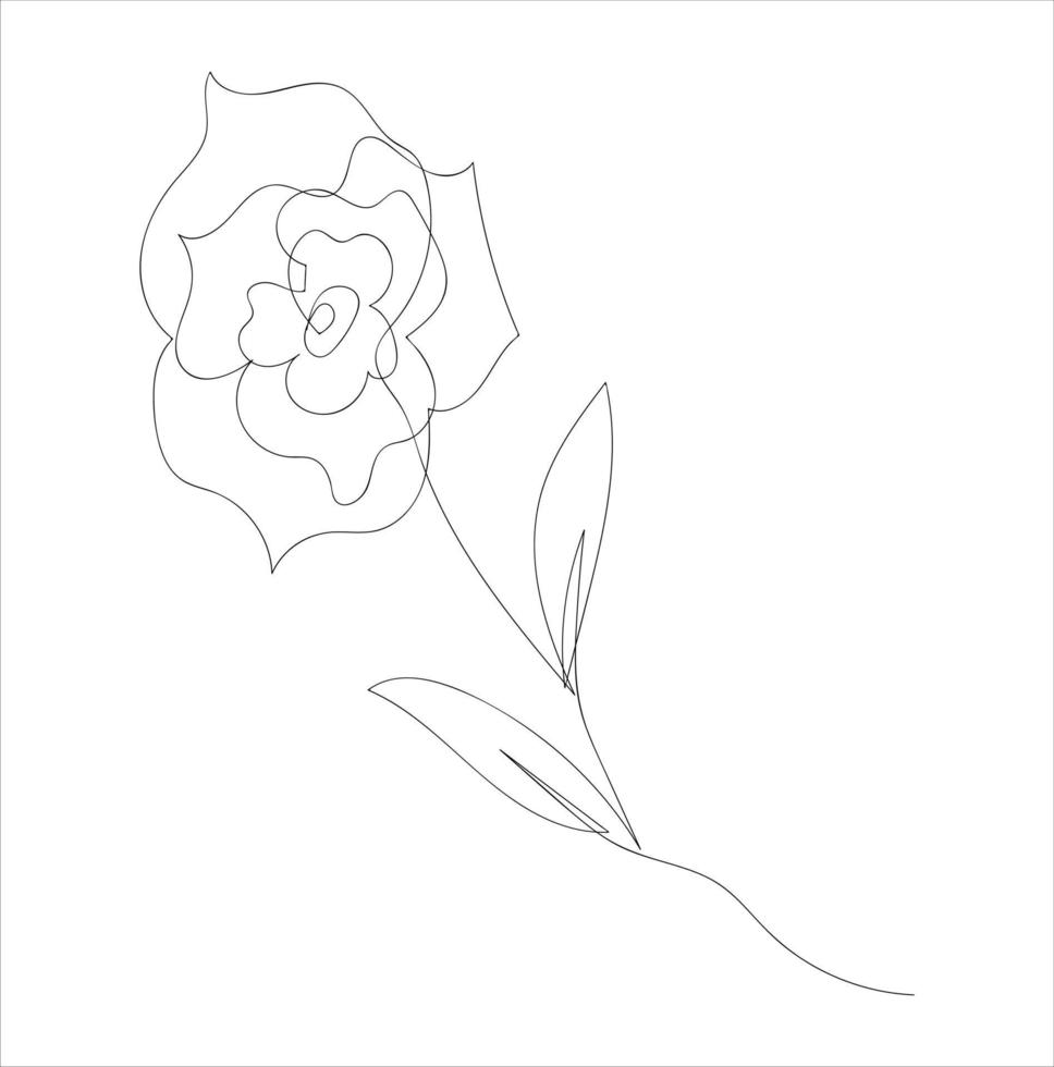 hand drawing vector one line stroke plant leaves and flowers