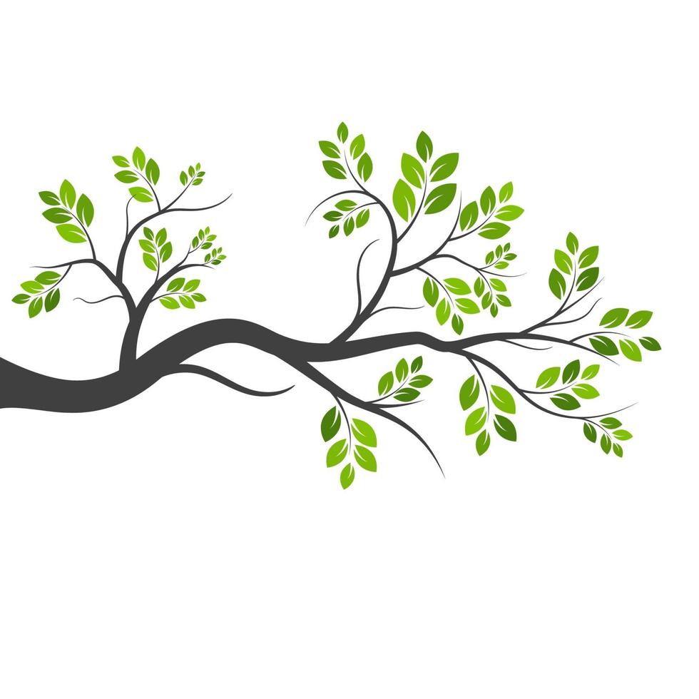 Tree branch vector ilustration design