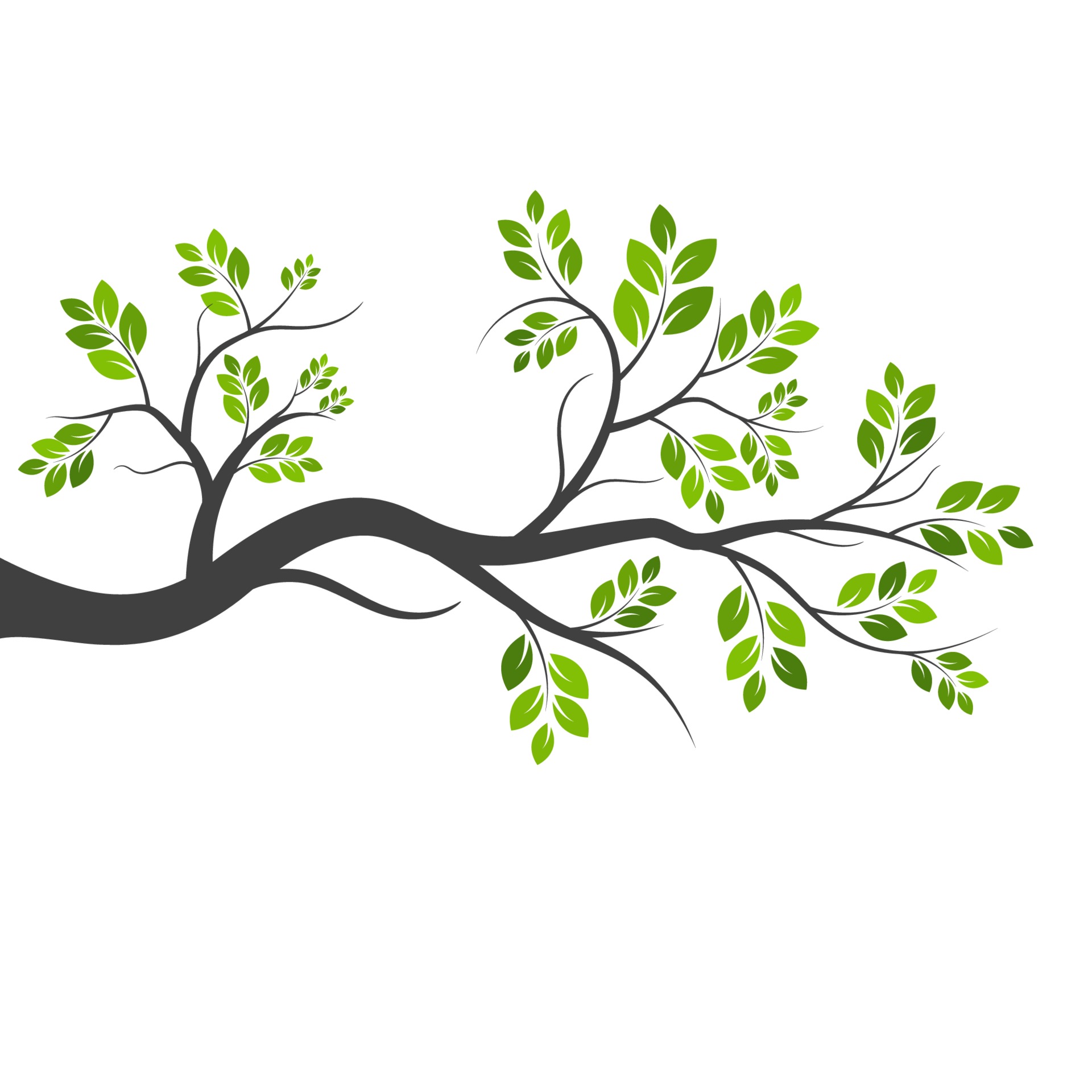 Simple Tree Branch Template