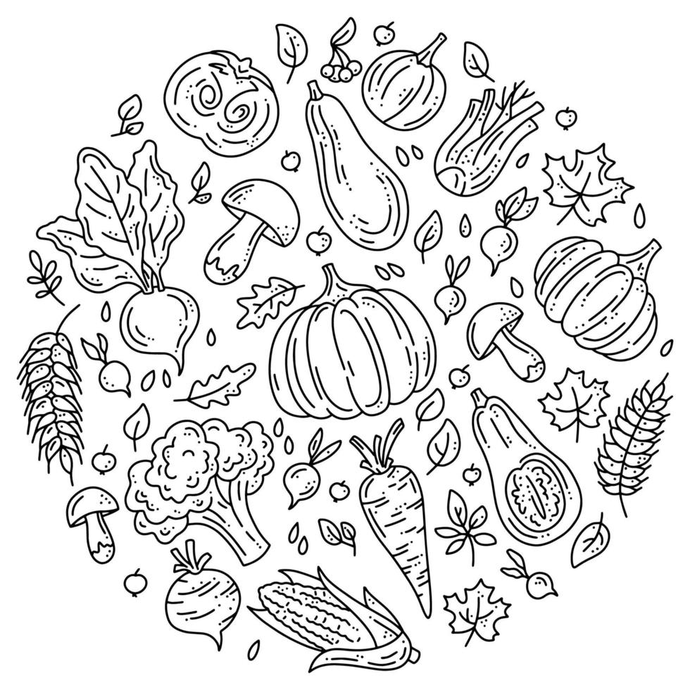 Conjunto circular de verduras y setas para la cosecha de otoño. vector