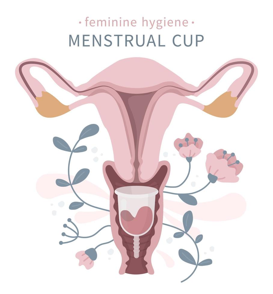 Menstrual cup in vagina with flowers vector