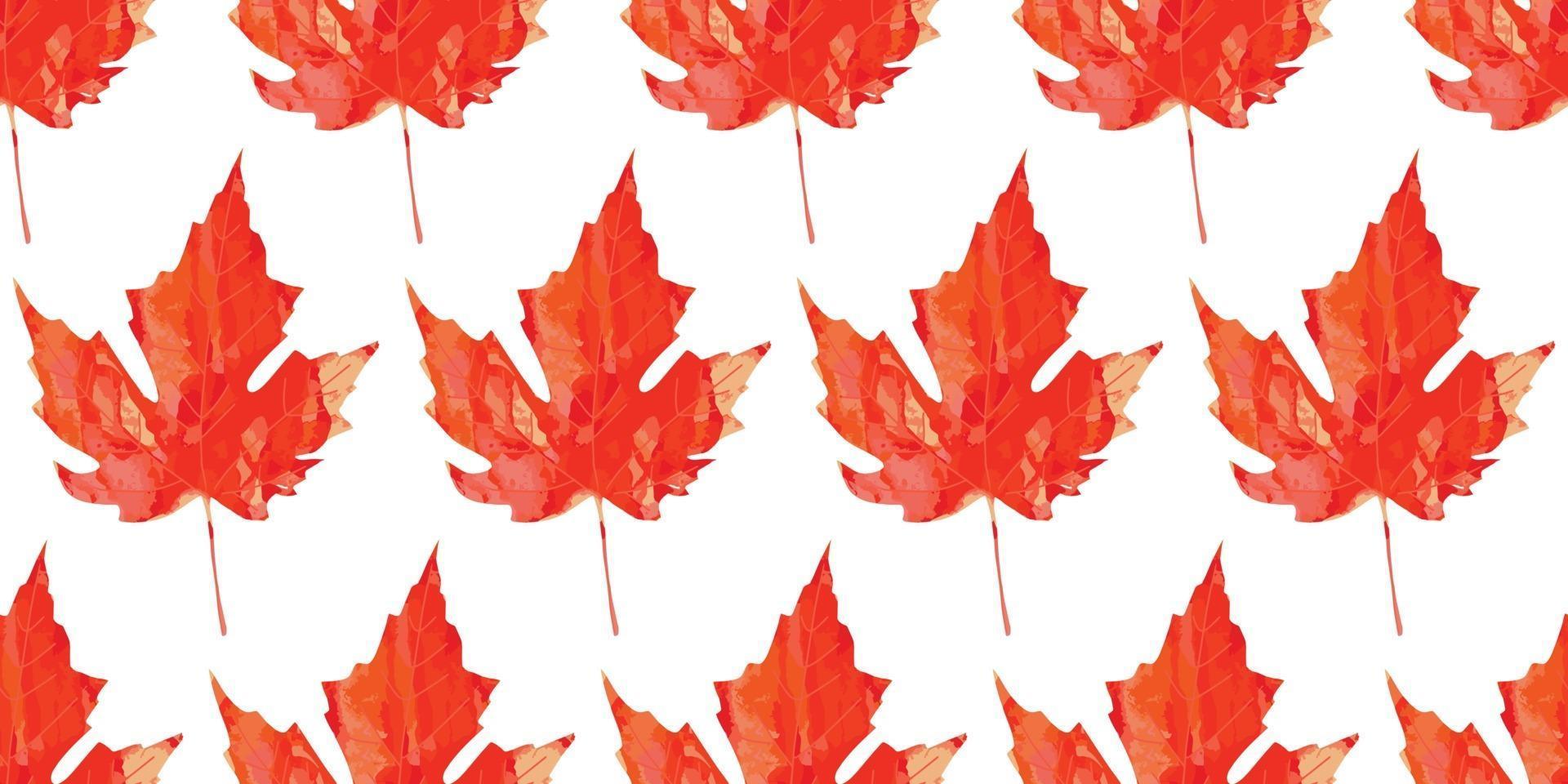 Watercolor bright maple leaf seamless pattern fall  autumn background vector