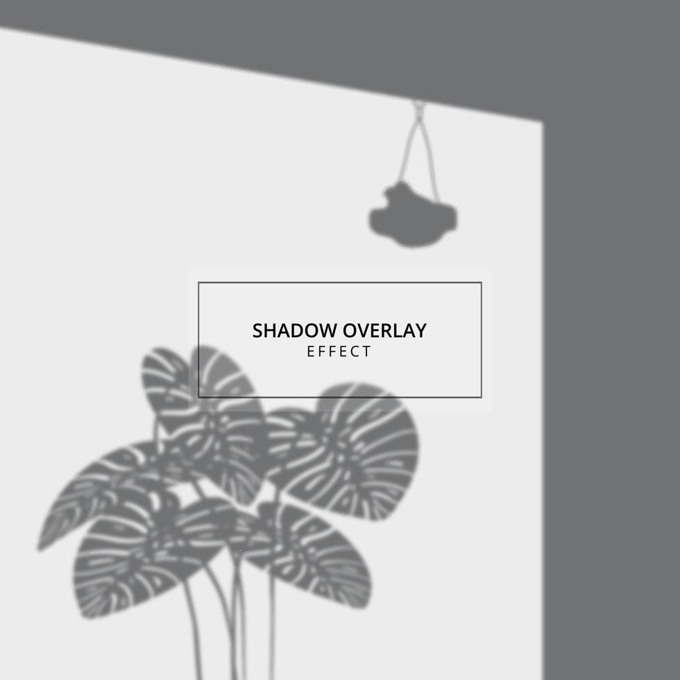 Plant shadow overlay effect on gray background vector