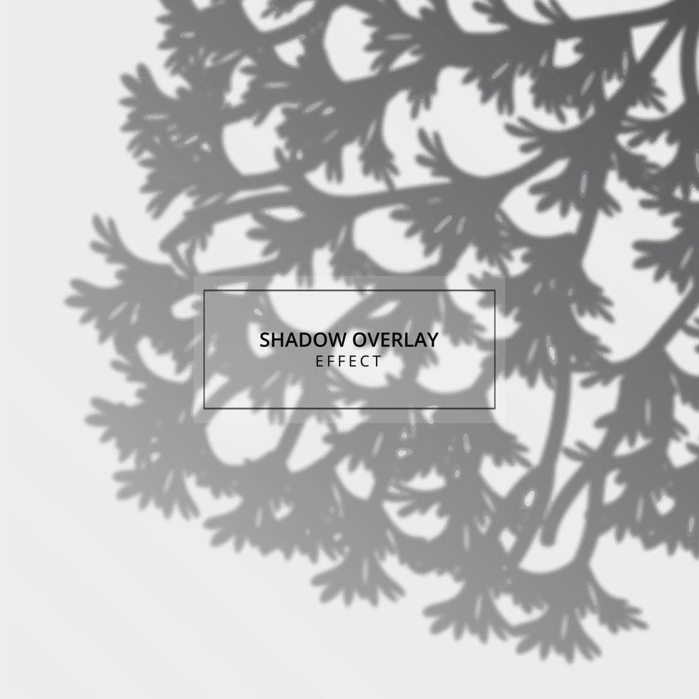 Plant shadow overlay effect on gray background vector