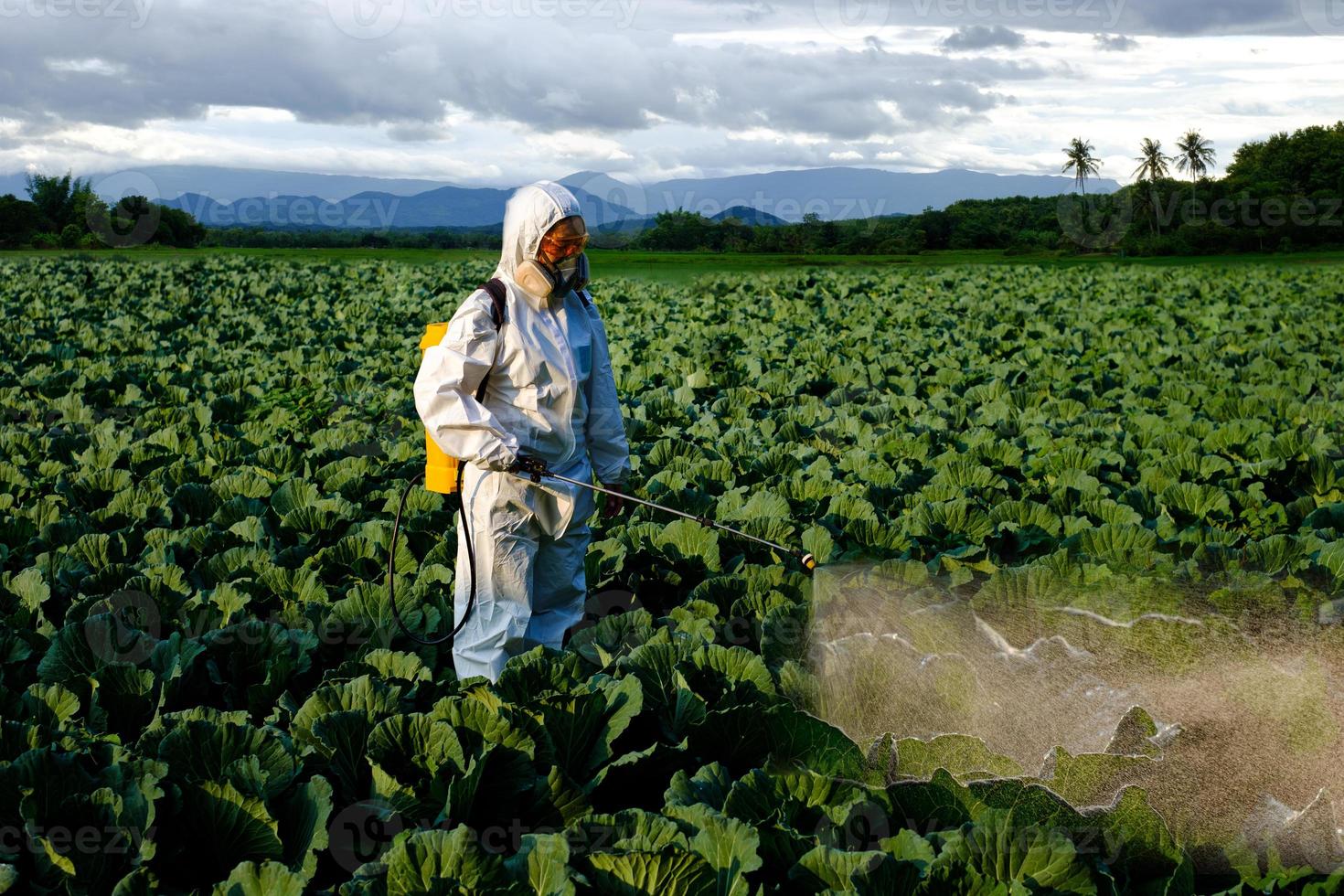 Jardinero en traje protector y máscara de insecticida en aerosol y química foto