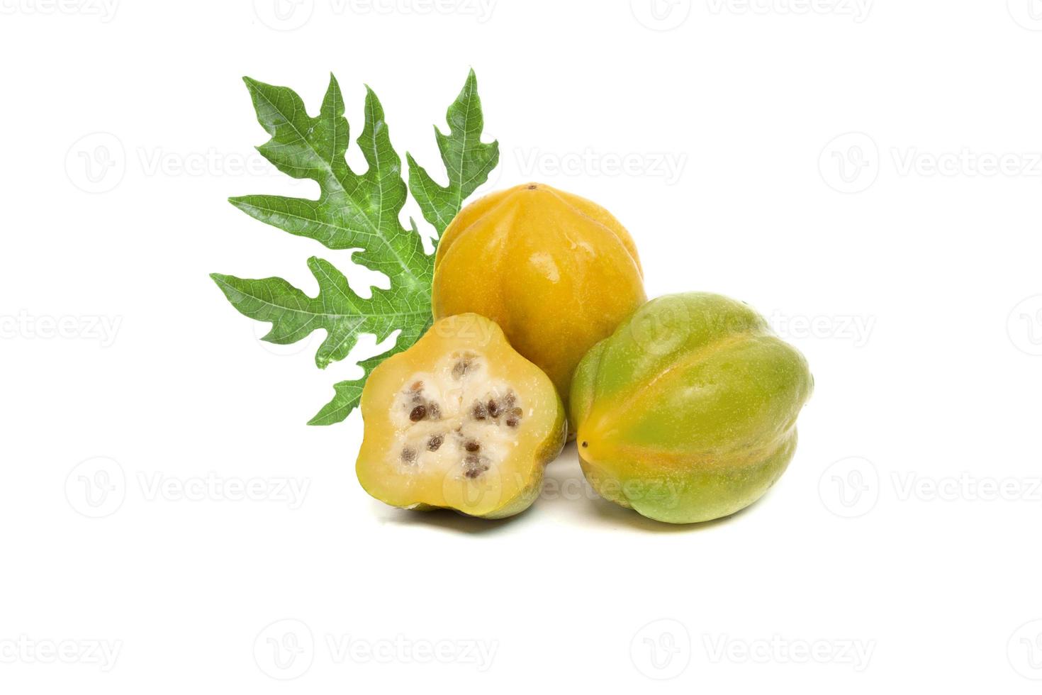 mountain papaya Vasconcellea cundinamarcensis on white background photo