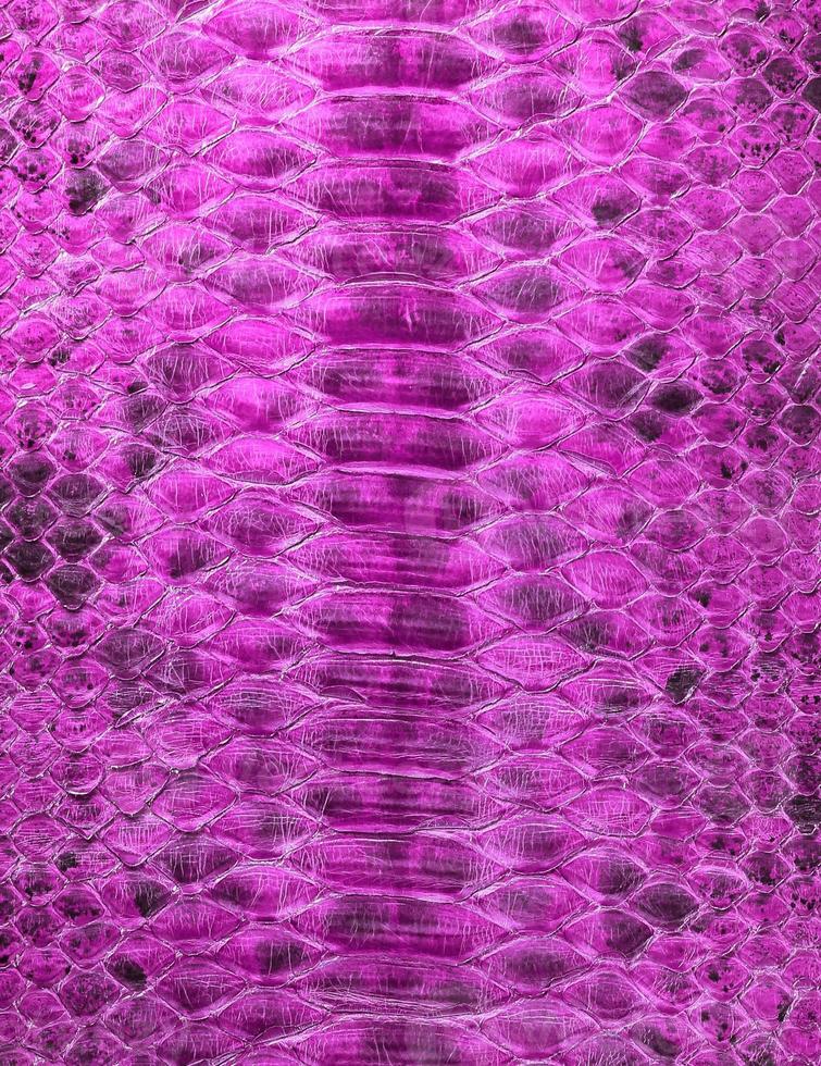 Pink coloured snake skin background. Reptile texture photo