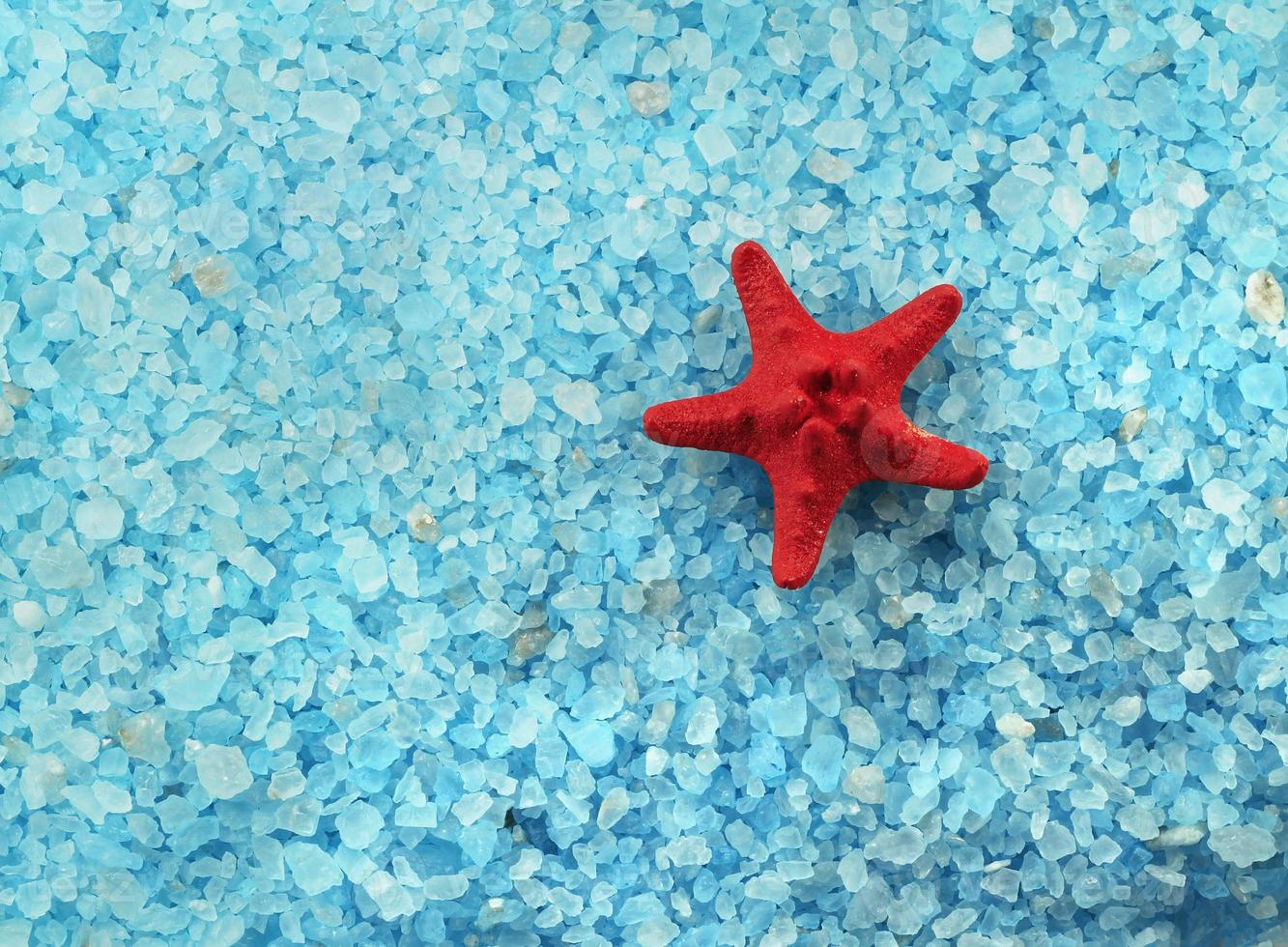 A red starfish on blue salt background photo