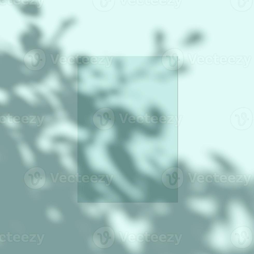 3d rendering, shadow overlay effect, various mockup. photo
