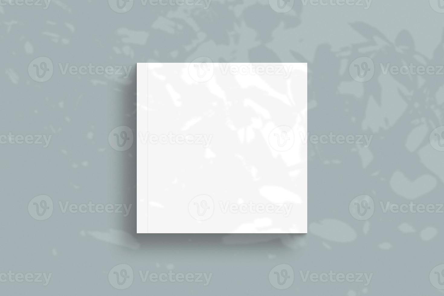 3d rendering, shadow overlay effect, various mock-ups photo