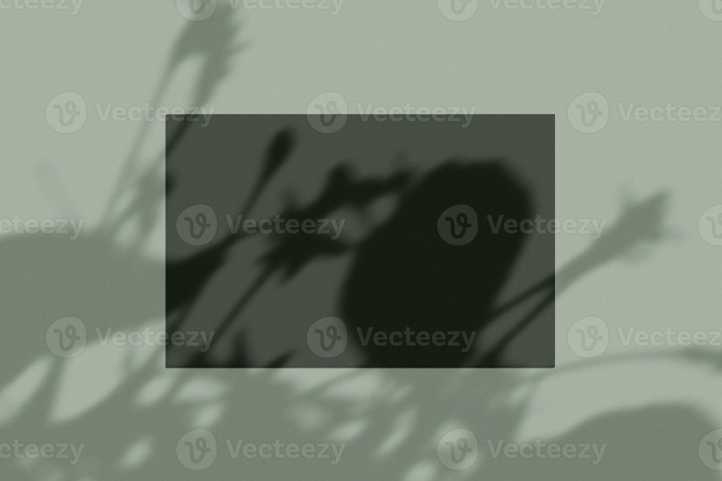 3d rendering, shadow overlay effect, various mock-ups photo