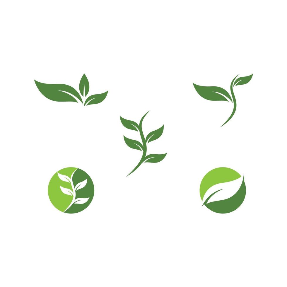 Eco tree leaf vector