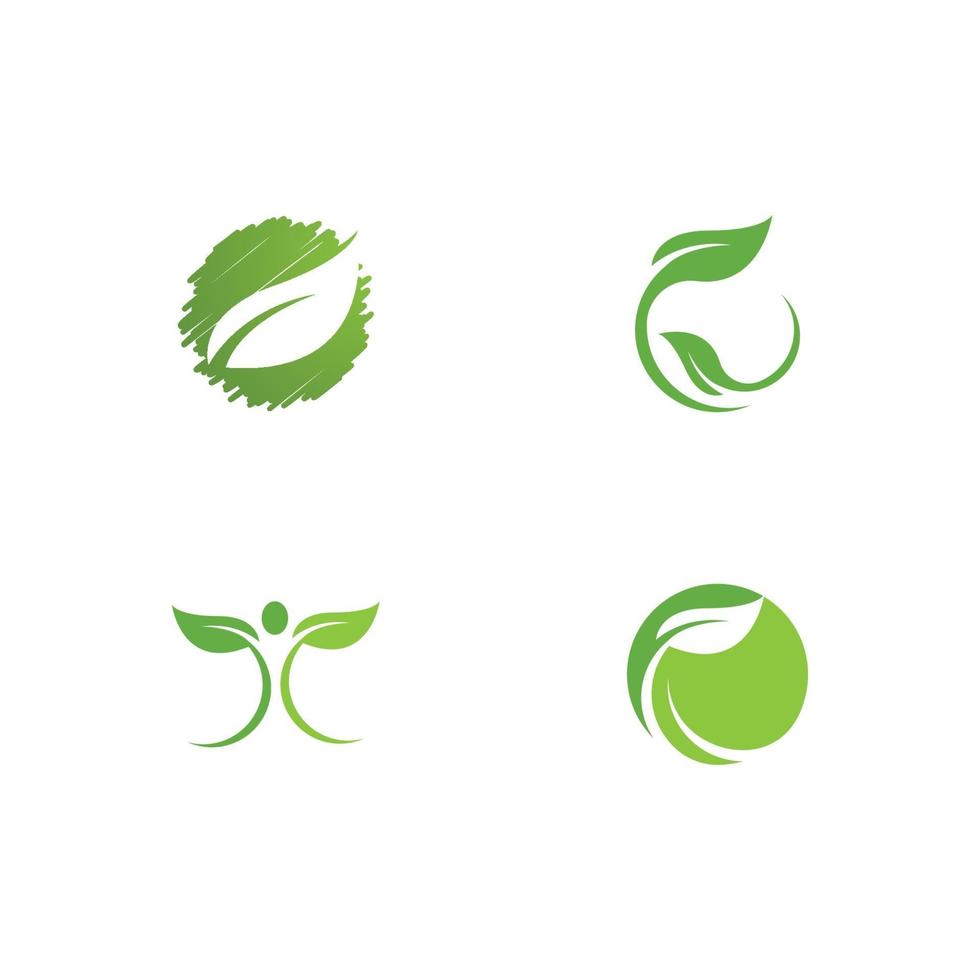 Eco tree leaf vector