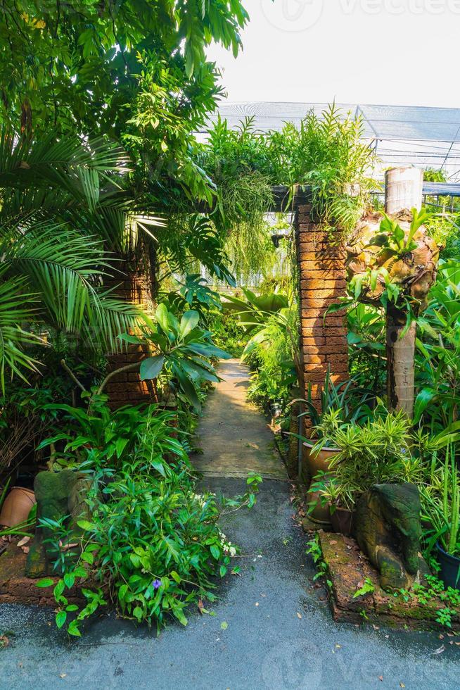 Walkway with many plants - boost up color effect filter photo